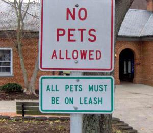 no-pets-contradiction